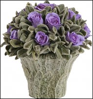 www.floristic.ru - .  (STACHYS)  