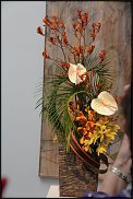 www.floristic.ru - .   