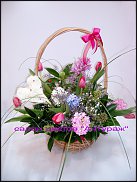 www.floristic.ru - . ,  .