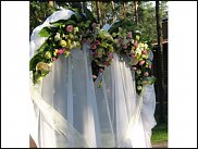 www.floristic.ru - .      .