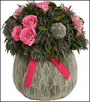 www.floristic.ru - .  (STACHYS)  