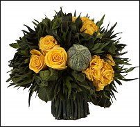 www.floristic.ru - .  (STACHYS)  