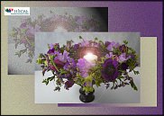 www.floristic.ru - .  