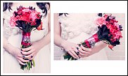 www.floristic.ru - .      .