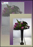www.floristic.ru - .  