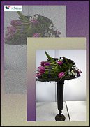 www.floristic.ru - .  