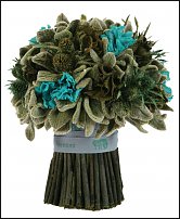 www.floristic.ru - .  (STACHYS)  