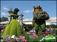 www.floristic.ru - .     