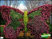 www.floristic.ru - Флористика. Садовая скульптура из растительного материала