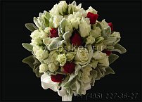 www.floristic.ru - .  (STACHYS)  