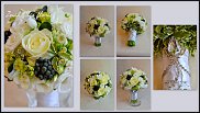 www.floristic.ru - .  .