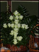 www.floristic.ru - .  