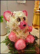 www.floristic.ru - .   ....