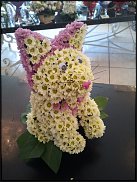 www.floristic.ru - .   ....