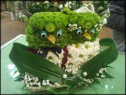 www.floristic.ru - .   ....