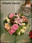 www.floristic.ru - .  