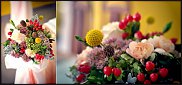 www.floristic.ru - .  