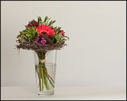 www.floristic.ru - .  