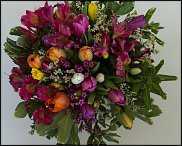 www.floristic.ru - .  