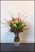 www.floristic.ru - .  