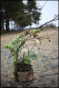 www.floristic.ru - . -  