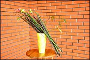 www.floristic.ru - . -  