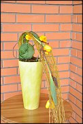 www.floristic.ru - . -  