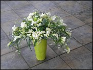 www.floristic.ru - . -  