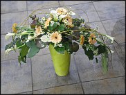 www.floristic.ru - . -  