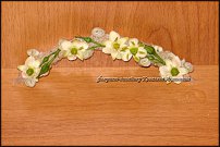 www.floristic.ru - .  (STACHYS)  