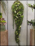 www.floristic.ru - .    (, - )