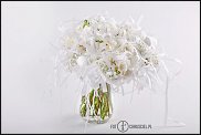 www.floristic.ru - .   