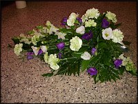 www.floristic.ru - .  