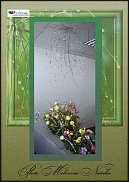 www.floristic.ru - .  