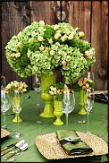 www.floristic.ru - . 