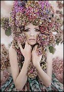 www.floristic.ru - . 