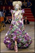 www.floristic.ru - Флористика. Суккуле́нты (Succulentus)