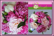 www.floristic.ru - Флористика. Свадебная флористика.