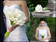 www.floristic.ru - Флористика. Свадебная флористика.