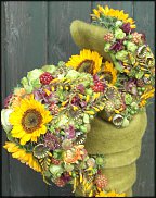 www.floristic.ru - .     