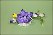 www.floristic.ru - .    