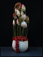 www.floristic.ru - . ́ (Anthúrium)