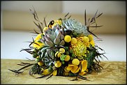www.floristic.ru - Флористика. Суккуле́нты (Succulentus)