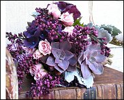 www.floristic.ru - Флористика. Суккуле́нты (Succulentus)