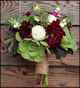 www.floristic.ru - Флористика. Суккуле́нты (Succulentus)