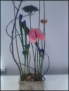 www.floristic.ru - .  .