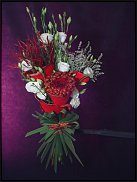 www.floristic.ru - .  