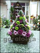 www.floristic.ru - .  ,   ..  .