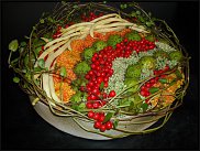 www.floristic.ru - .     