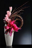 www.floristic.ru - .  